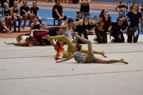 Festival fin de curso - 272