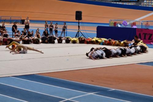 Festival fin de curso - 275