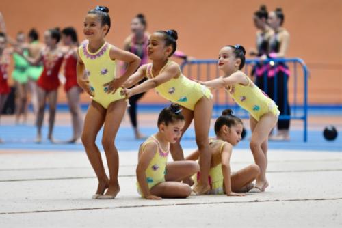 Festival fin de curso - 29