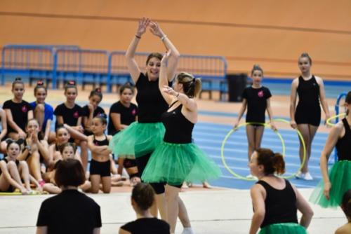 Festival fin de curso - 306