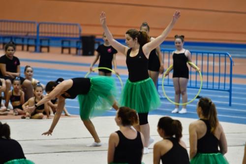 Festival fin de curso - 307