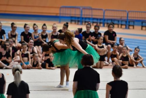 Festival fin de curso - 308