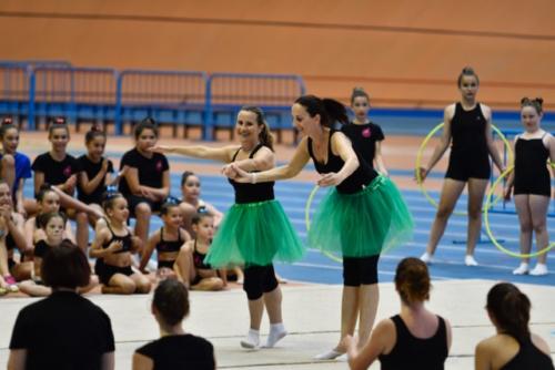 Festival fin de curso - 310