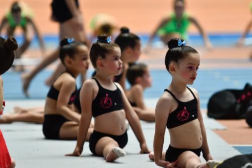 Festival fin de curso - 320