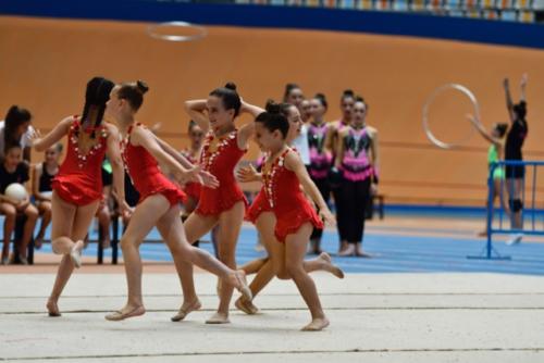 Festival fin de curso - 33