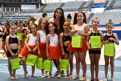 Festival fin de curso - 331