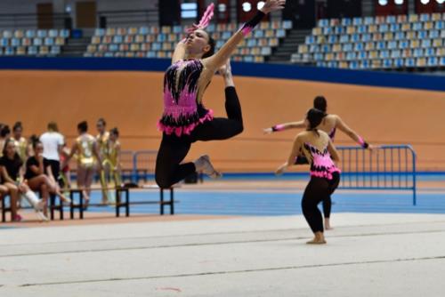 Festival fin de curso - 39