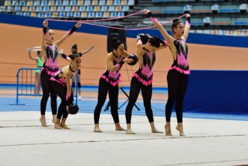 Festival fin de curso - 47