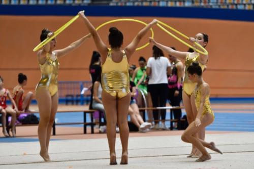 Festival fin de curso - 61