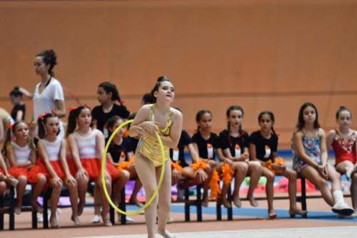 Festival fin de curso - 62