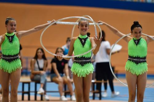 Festival fin de curso - 65