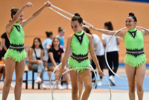 Festival fin de curso - 67