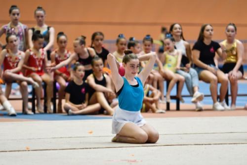 Festival fin de curso - 81