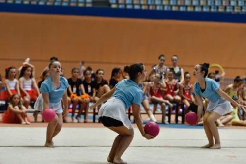 Festival fin de curso - 87