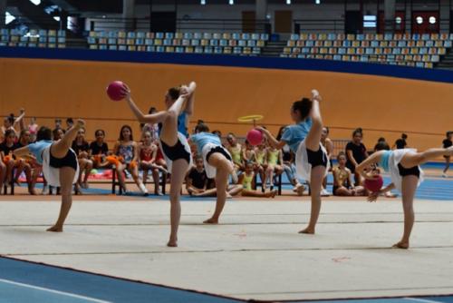 Festival fin de curso - 88